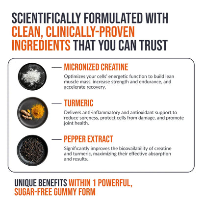 Creatine Monohydrate Gummies Ecowise - High-Quality Creatine, Fitness Supplement, Vegan, Plant-Based, Delicious & Convenient Creatine Gummies Healthcare Dietary